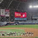 호시타코야끼 이미지