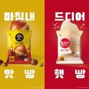 햇빵