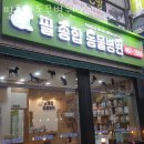 필종합동물병원 이미지
