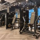 그레이짐 이미지