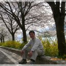전남 구례 섬진강 벚꽃축제..!! 이미지