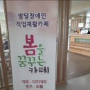 봄을꿈꾸는카페 이미지