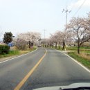 군서밧데리 이미지