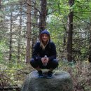 단풍세탁 이미지