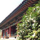 밀양향교 이미지