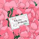 꽃피는온누리약국 | 꽃 도매시장 | 봄꽃이 가득한 내돈내산 도매시장 후기 (할인방법, 꽃 가격)