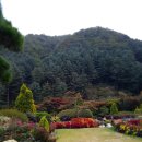 가평산토리니 | ​[가평 여행] 초록빛 아침고요수목원 산책 & 산토리니 카페 브런치로 힐링 가득한 하루 🌿☕️