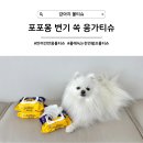 펫러버 그루밍 | [강아지 물티슈] 다이소 물티슈 쓸만한데? 물에 녹는 포포몽 변기 쏙 응가티슈