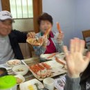 (주)네잎 이미지