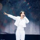 엄브렐라투어