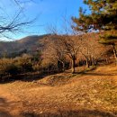 오룡산 등산로 입구 이미지