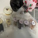 아토맘 수제간식 이미지