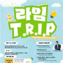 라임 P.T 이미지