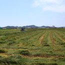 금강축산 이미지