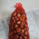 트리팜 관광농원 이미지