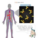 길버트영어
