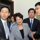 전여옥 카카오 검색결과