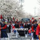 충주호...청풍 명월 벚꽃 축제 ... 이미지