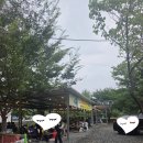 느티나무민박 | 청도 신원계곡 느티나무 평상 주차 비용 샤워실