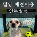 연두살롱 이미지