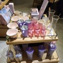 스타벅스 김해구산DT점 이미지