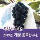 번창농원 네이버블로그