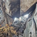 에덴동산 이미지