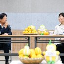 성주 참외 수출검역 현장 방문— 17년 만의 베트남 수출 성사… 수출확대 위한 현장 점검 나서 이미지