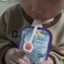 토끼랑 | [체험후기] 토끼캡 X 띵파우치