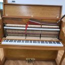 구지초등학교 이미지