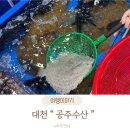 수산시장 | 대천여행 필수코스 수산시장 공주수산 후기