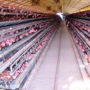 수의농장 이미지