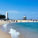 파란여행사주