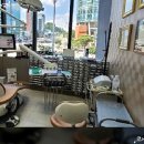 우리삼성치과의원 이미지