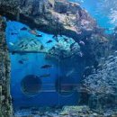 의림대로33길 이미지