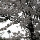 관문체육공원 이미지