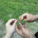 청학로668번길67 | 끄적이는 일상 12탄