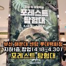 롯데백화점 센텀시티점 | 부산팝업 해운대 센텀 롯데백화점 어반포레스트 포레스트 탐험대 아이랑 파충류 체험부터 도마뱀 분양까지
