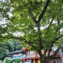 태학산약수 | [천안] 법왕사, 태학사_삼태리 마애여래입상, 동굴법당 삼존불!!