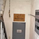 솔로오프 | 효울적인 로테이션 소개팅 30대 직장인 소개팅 솔로오프 로테이션 솔직후기