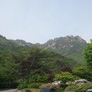 2024.04.28. 충북 보은 속리산 이미지