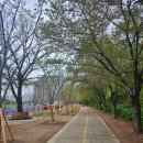 달서천 자전거대여소 | 25년_4월 일상_두 번째