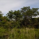 남원읍-60 이미지