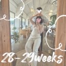 전북대학교병원 | [임신일기]28주~29주차 전주시보건소 무료 백일해주사, 파크론 시공매트시공_전북대학교병원