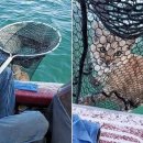 그물과물고기 이미지