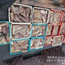 백호피싱
