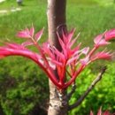 원숙경 | 가을이 서럽지 않게