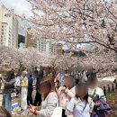 로망스 - 강서구 가로공원로76길 6 | 로망스