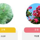 대구공업고등학교 테크노폴리스 캠퍼스 이미지