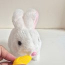 소리하우스 | [토끼장난감] 포근포근 토끼하우스 내돈내산 후기 (+5세 아이 반응, 소리, 구성품)